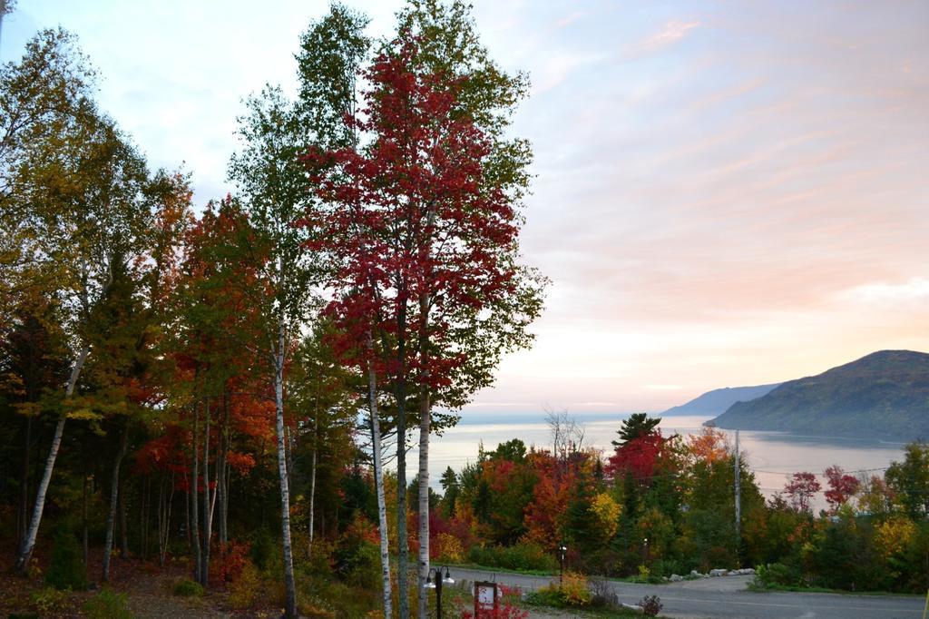 Gite Nature Et Pinceaux Baie-Saint-Paul Exteriér fotografie